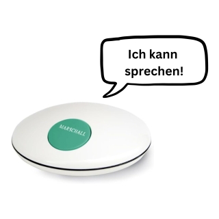 Deutsch Sprechende Uhr 1001w im UFO-Design mit Stündlicher