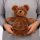 Fashy Wärmflasche Bär Buddy Kuscheltier mit 0,3 L Wärmflasche