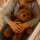 Fashy Wärmflasche Bär Buddy Kuscheltier mit 0,3 L Wärmflasche