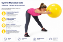 Gymnic Physioball Gelb – Therapieball für Fitness, Pilates & Rehabilitation 75 cm bis 300 kg