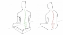 Schurwoll-Keilkissen / Keil-Sitzkissen, von Orthopäden empfohlen wollweiß-natur