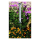 SOLINO Gartenthermometer XXL Outdoor-Thermometer mit Solarlicht
